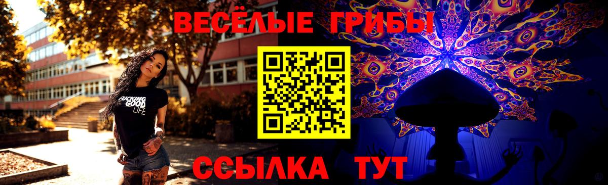 Галлюциногенные грибы Cubensis  Вход с VPN  хочу наркоту  Ейск  Псилоцибиновые грибы GOLDEN TEACHER 